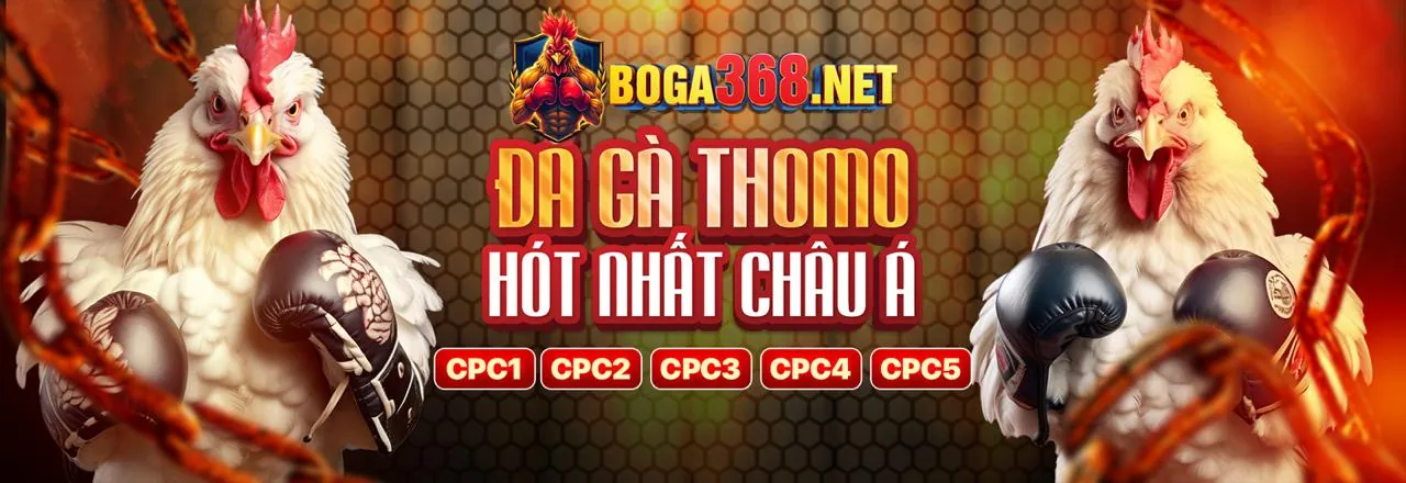 Tin tức mới nhất về 888b bet, các cập nhật và sự kiện quan trọng